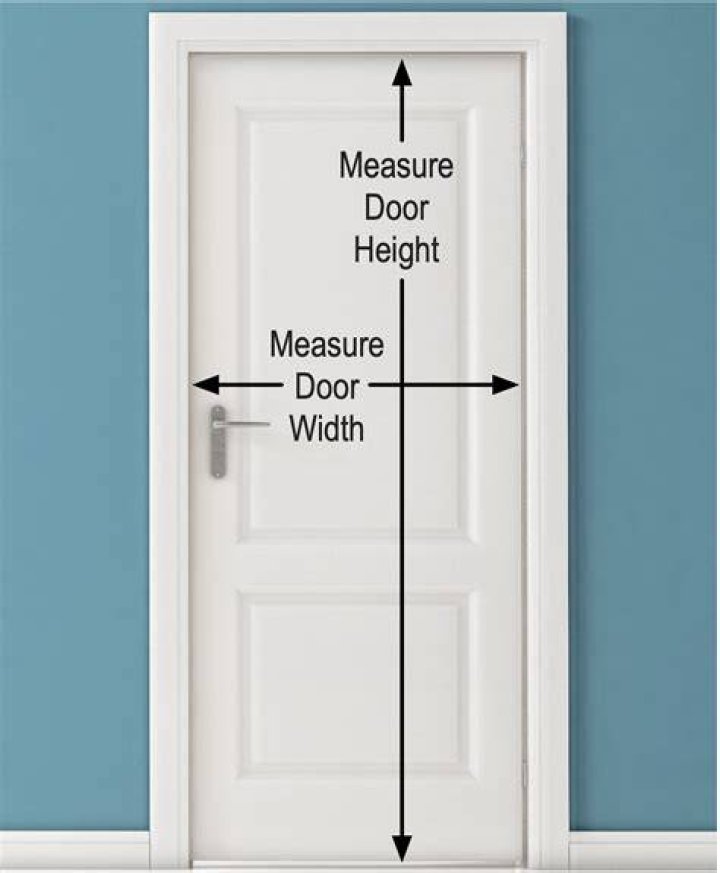 What size cat door do I need