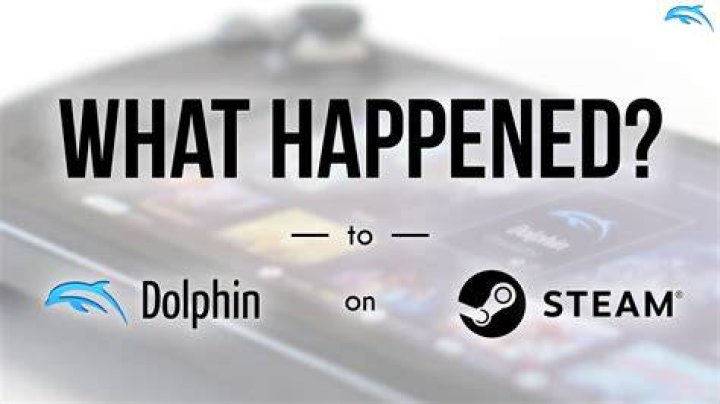 What sleeper are you dolphin