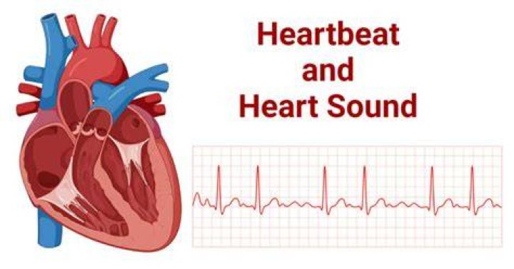 What sound does a heart make