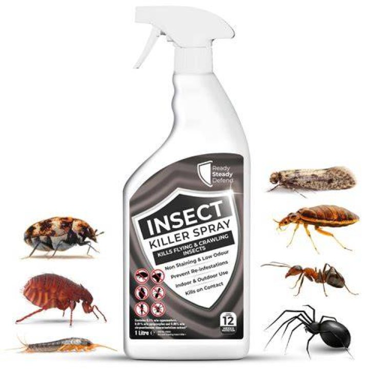 What spray kills potato bugs