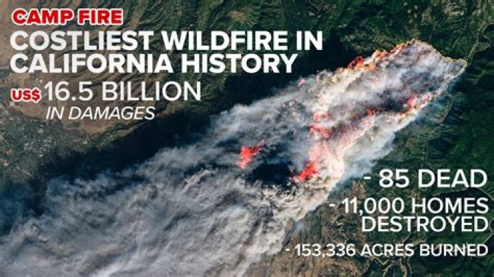 What started the Walker fire