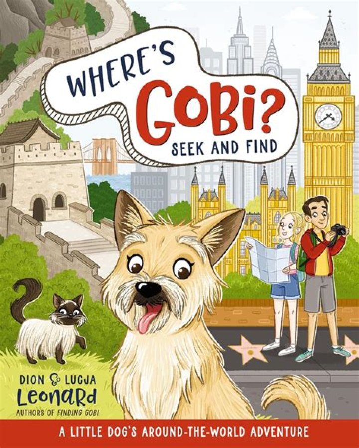 When did finding Gobi happen