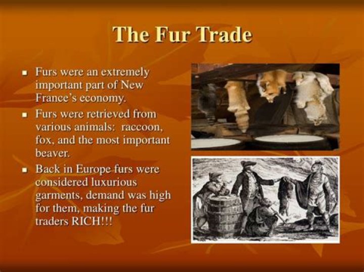When did the fur trade start
