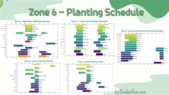 When should I start seeds in Zone 6