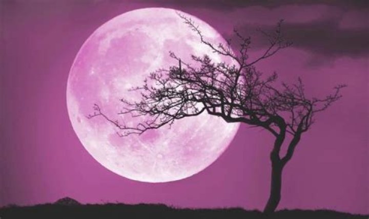 When was the Pink moon 2019