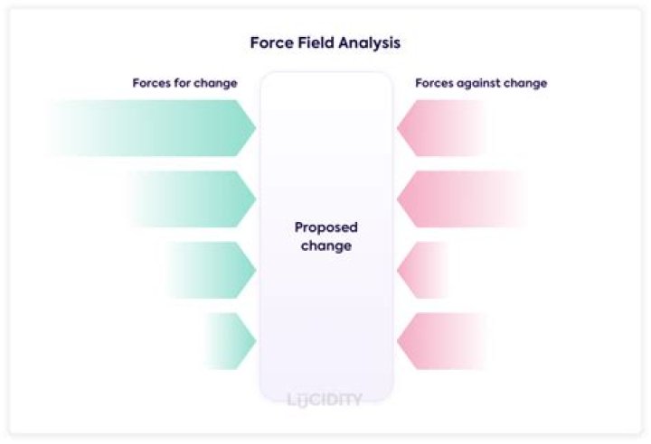When would you use a force field analysis