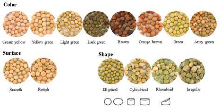 Where do peas originate from