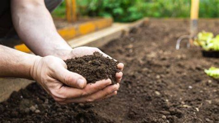 Where do you use garden soil