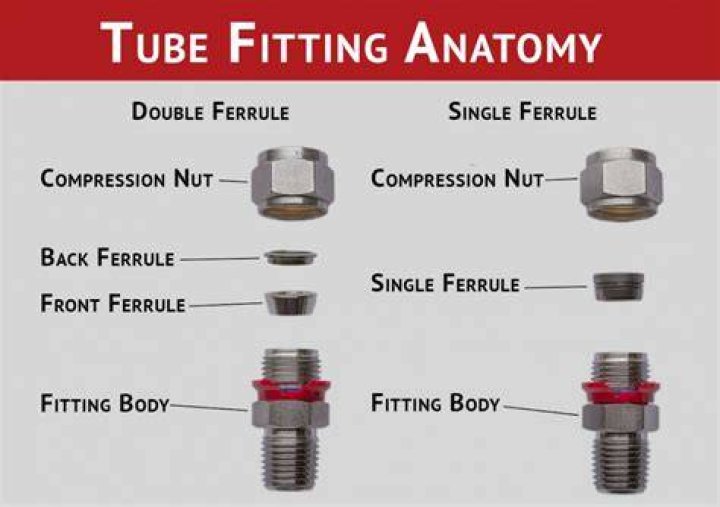 Where does ferrule come from