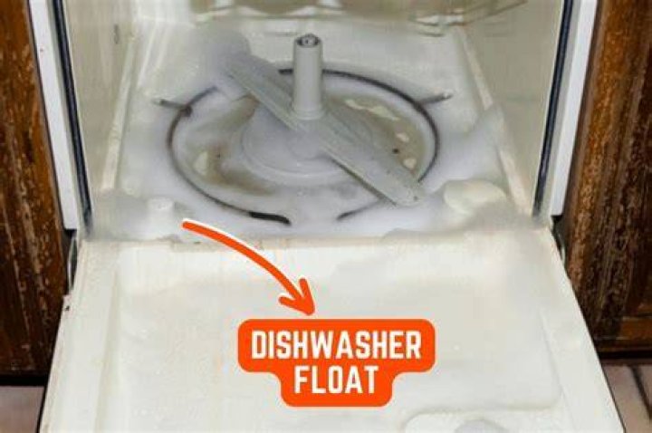 Where is float in dishwasher
