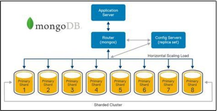 Where is MongoDB data folder