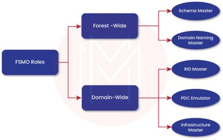 Where is schema master role