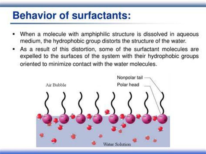 Where is surfactant produced