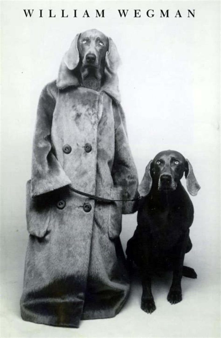 Where is William Wegman from