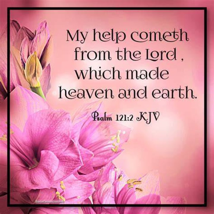 Where my help comes from KJV
