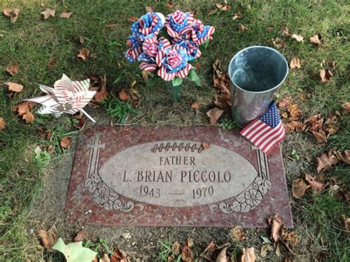 Where was Brian Piccolo from