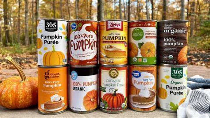Which canned pumpkin is best
