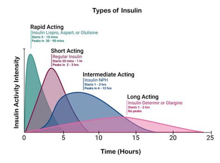 Which insulin is long acting