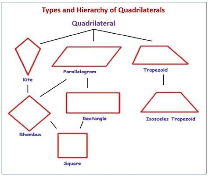 Which is not a parallelogram