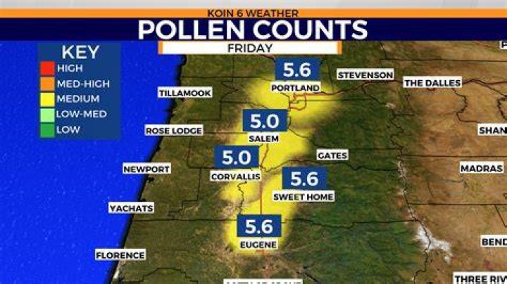 Which pollen is high in July