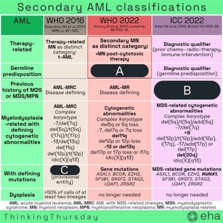 WHO classification AML 2019