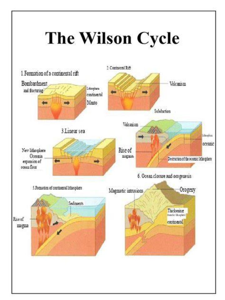 Who created the Wilson cycle