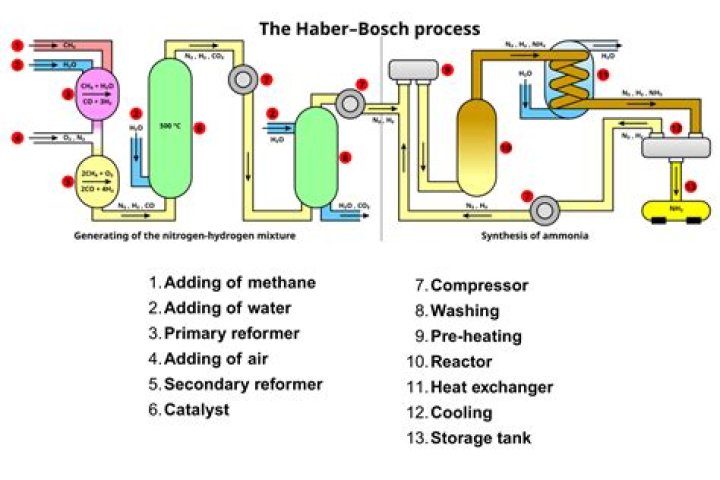 Who discovered Haber process