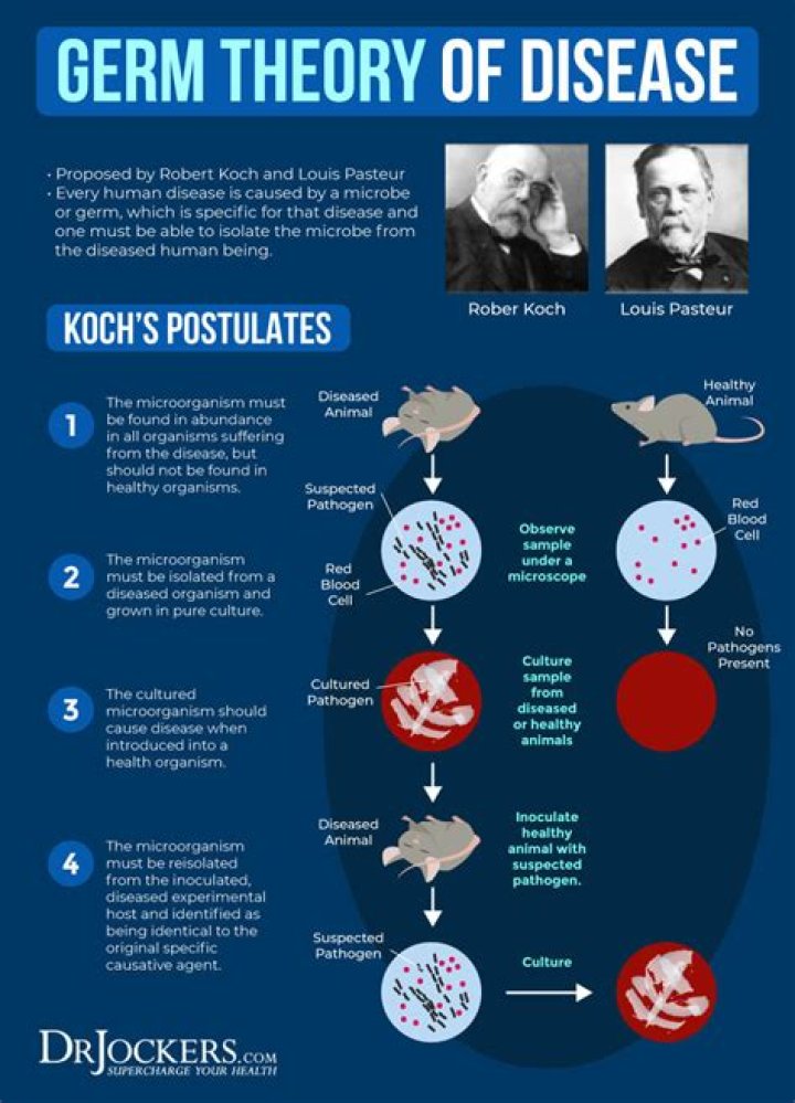 Who started the germ theory