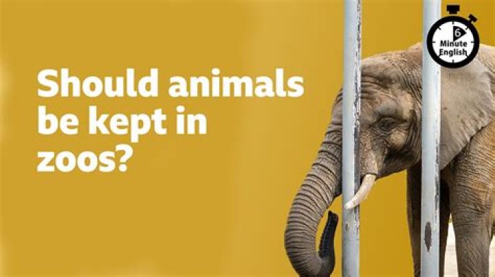 Why are animals kept captive