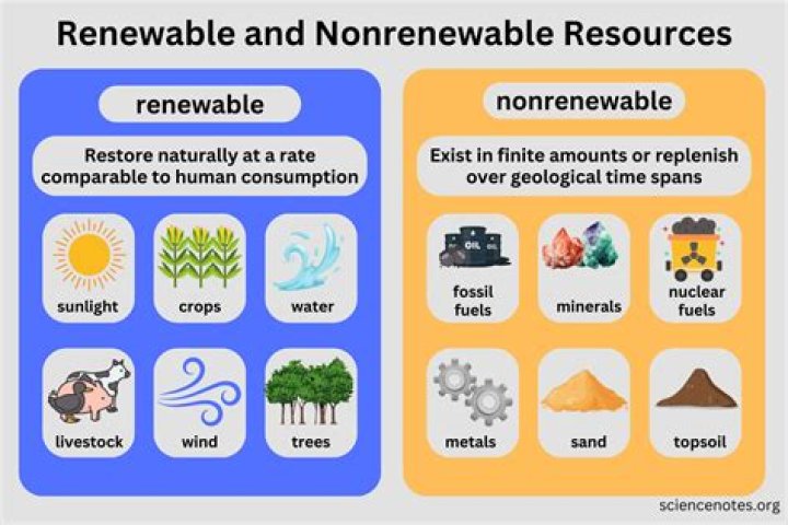 Why are forests nonrenewable