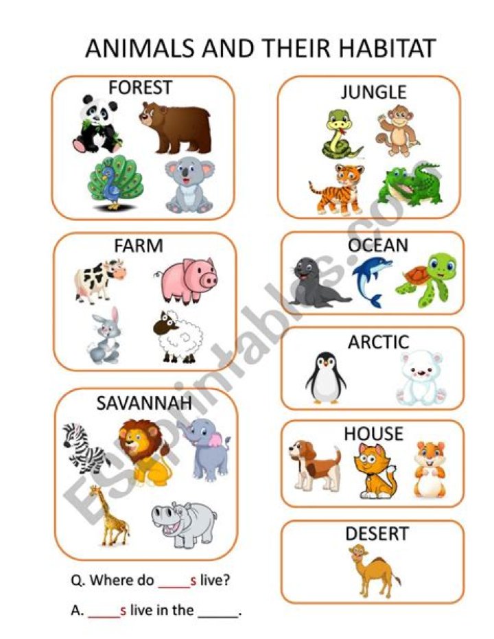 Why do animals have different habitats