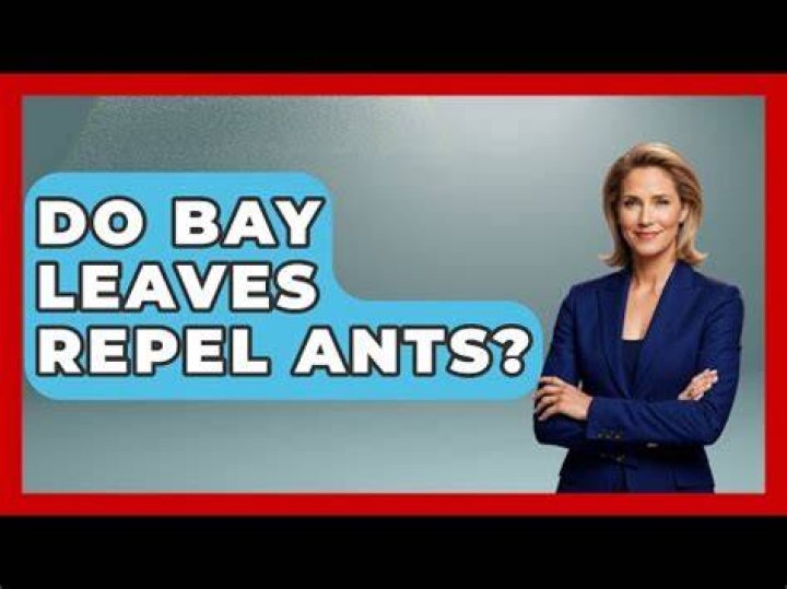 Why do bay leaves repel ants