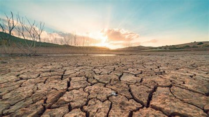 Why do droughts cause cracks
