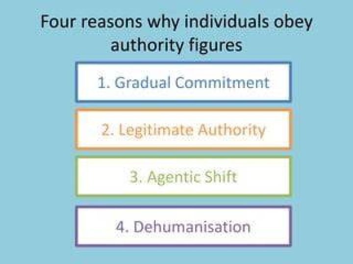Why do humans obey authority