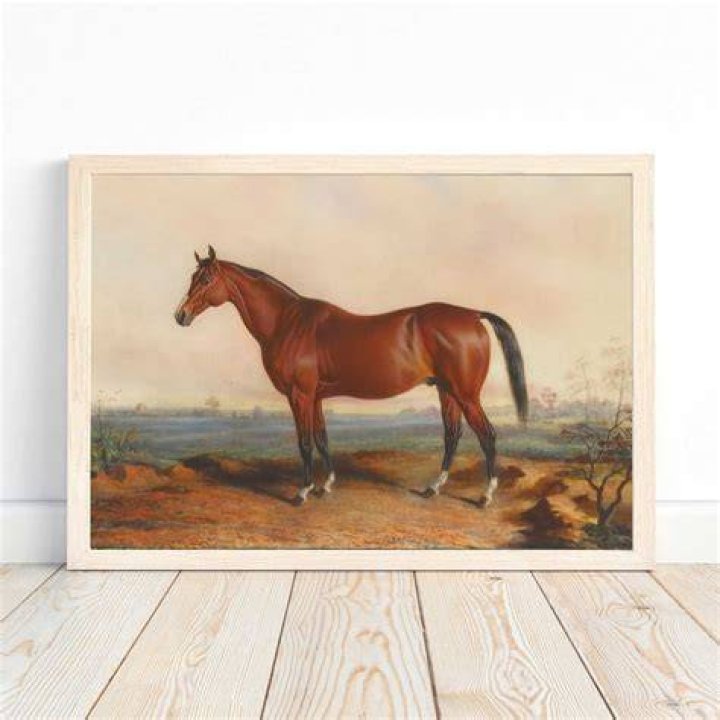 Why do we call horses Dobbin