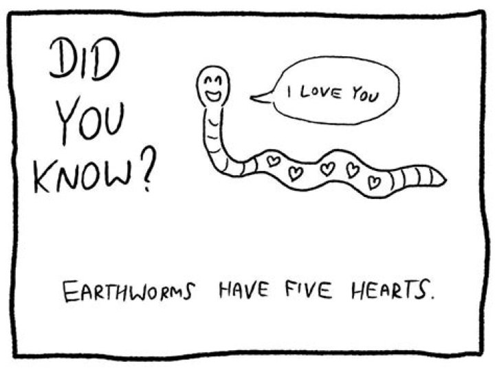 Why do Worms have 10 hearts