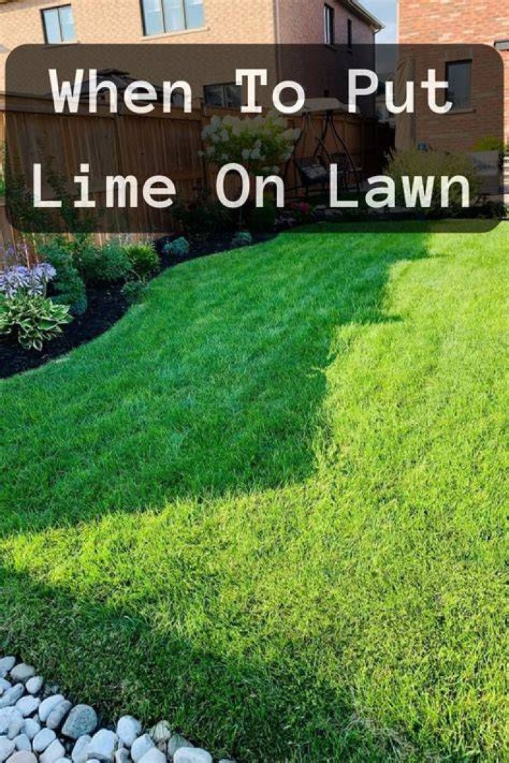 Why do you put lime on grass