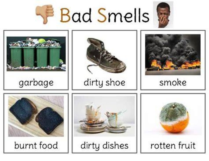 Why does a budgie smell bad