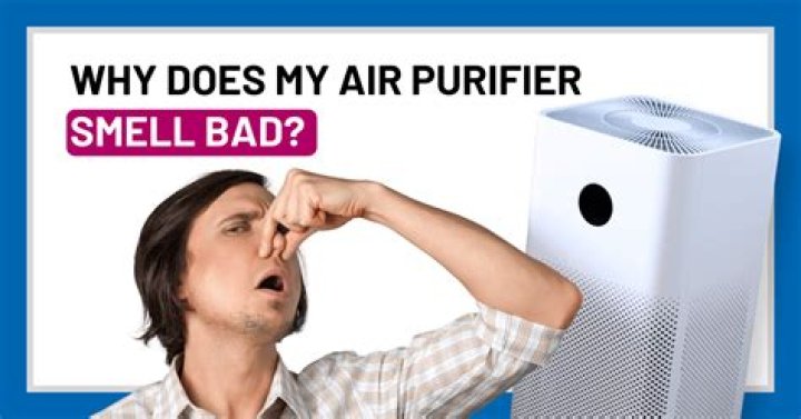 Why does my air filter smell