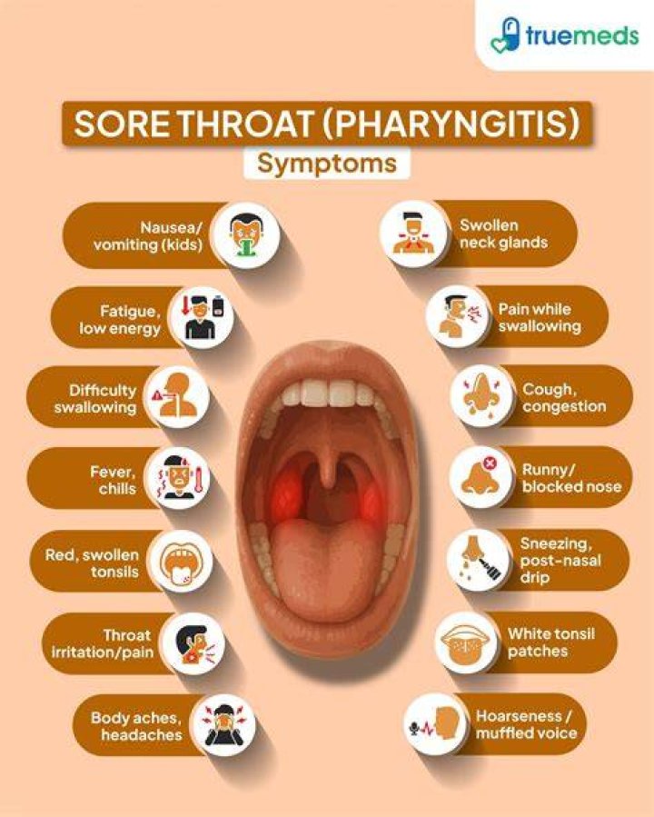 Why does my throat bone hurt