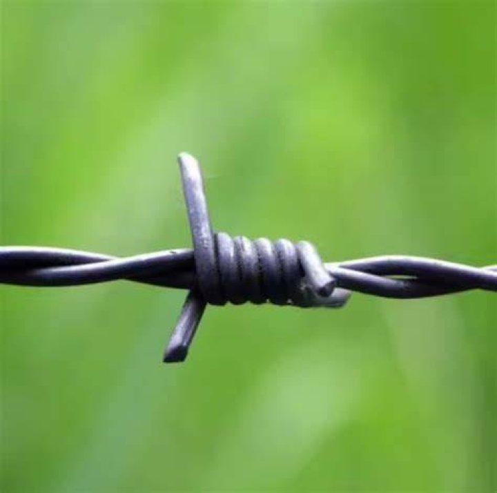 Why is barbed wire important