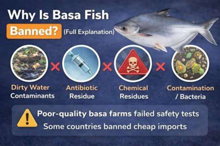Why is cod fish bad for you