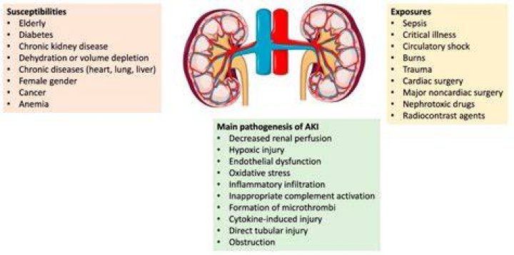 Why is it called nephrology