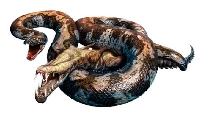 Why is KD considered a snake