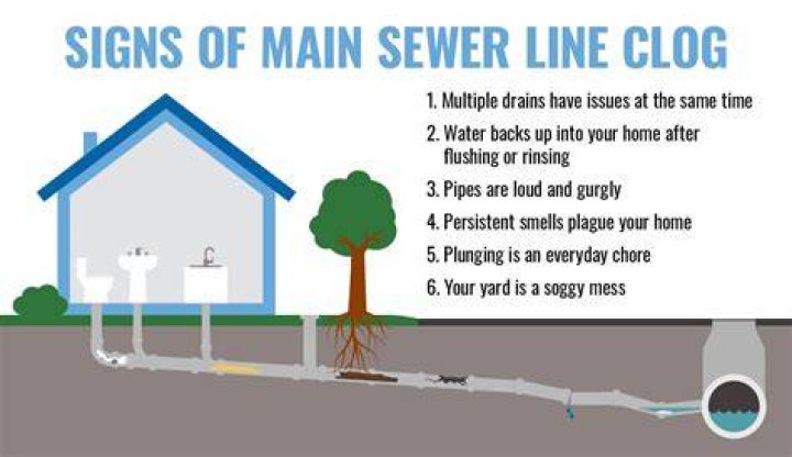 Why is my sewer line clogged
