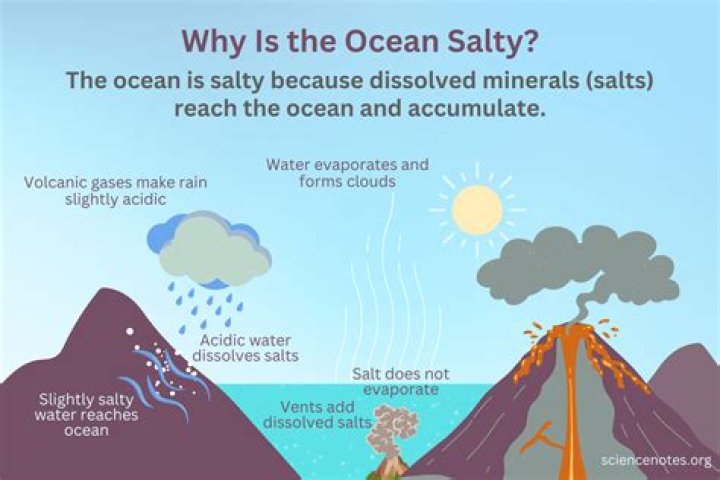 Why salt is added in dyeing