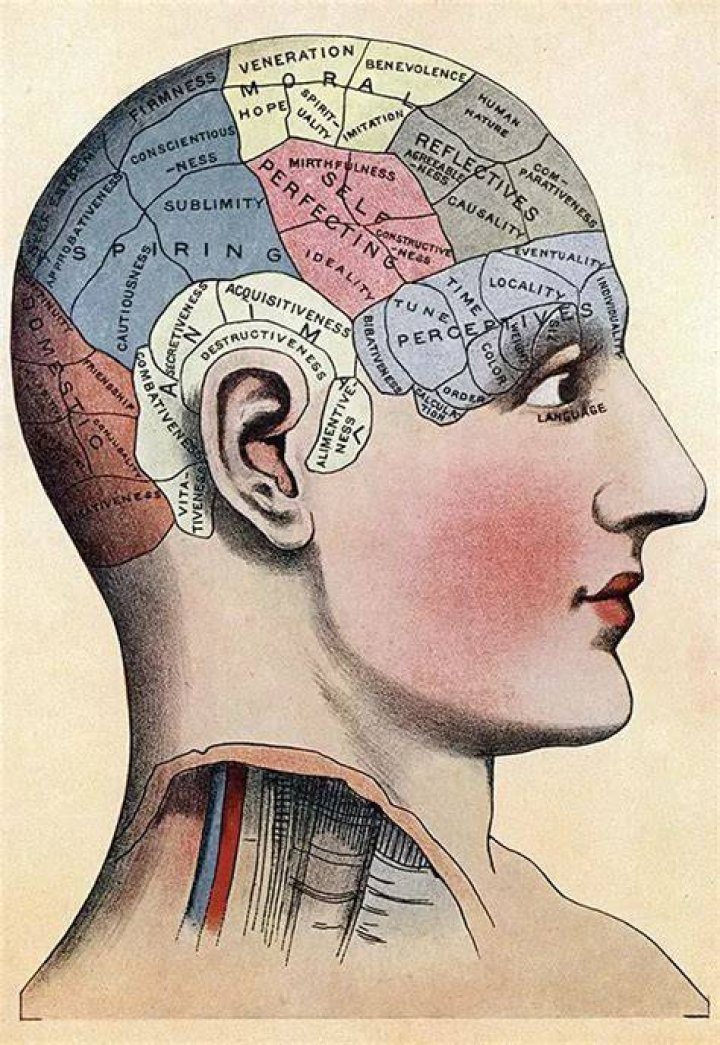 Why was phrenology accepted
