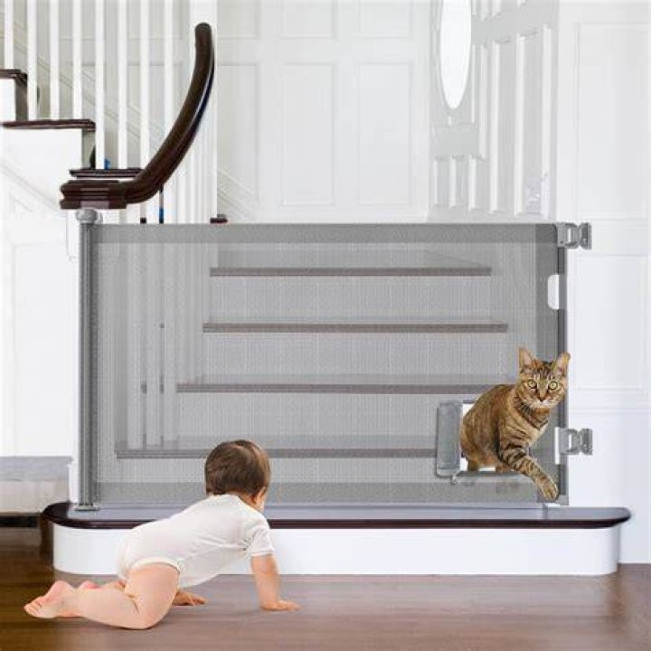 Will a baby gate stop a cat