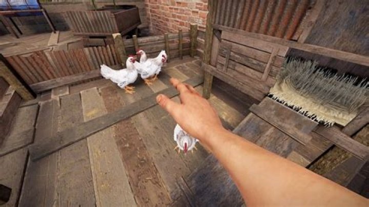 Will chickens eat themselves