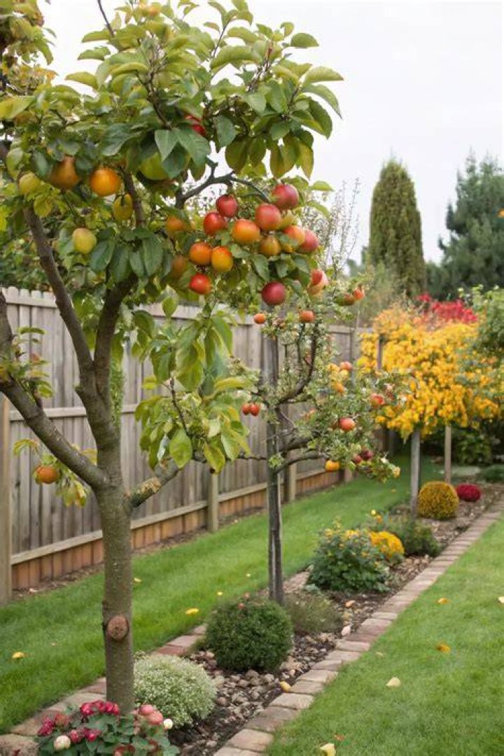 Will deer eat my fruit trees